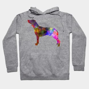 Polish Hunting Dog in watercolor Hoodie